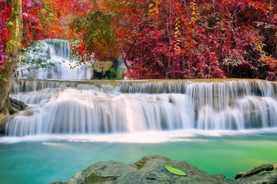Waterfalls: Waterfall Autumn Photography Paradise Plants Love ...