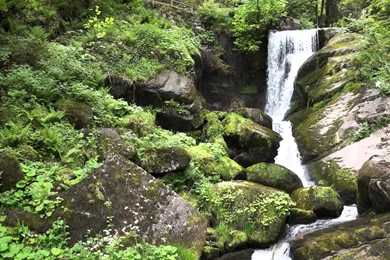 Free Video Loop Free Video Backgrounds HD Triberg Waterfalls III ...