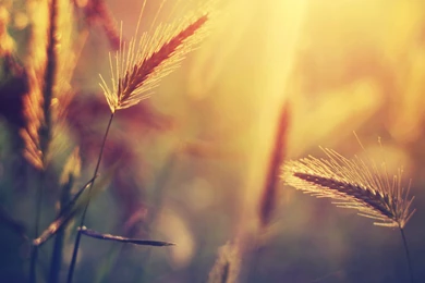 Macbook Pro Wallpapers Collection (43+)