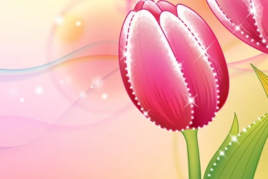Download Wallpapers 3840x1200 Flowers, Tulip, Background, Shiny ...
