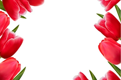 Flower, Tulip Backgrounds 02 Vector EPS Free Download, Logo, Icons ...