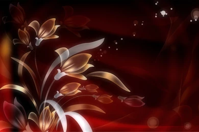 Tulip Backgrounds   Wallpapers