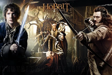 The Hobbit: The Desolation Of Smaug Wallpapers
