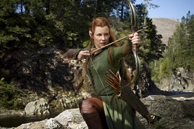 The Hobbit The Desolation Of Smaug (