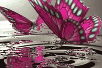 Amazon.com: Butterflies On Water Live Wallpaper: Appstore For Android