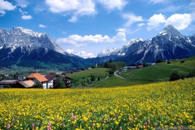 Spring Mountain Wallpapers   Crazy Frankenstein