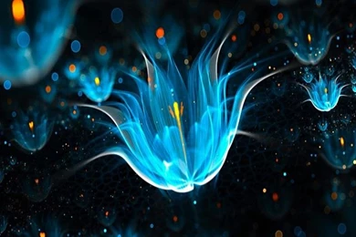 iPhone Live Wallpapers   Wallpapers Zone