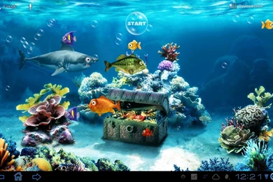 Nfl 3d Live Wallpapers Unlocked Apk 60263 Desktop Wallpapers