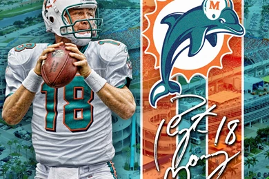 Miami Dolphins Desktop Wallpapers   Wallpapers Zone