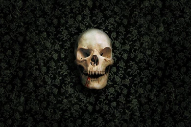 Horror Skull Wallpapers Horror Skull Desktop Wallpapers Horror ...