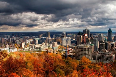 Collection, Computer, Wallpaper, Nature, Beautiful (