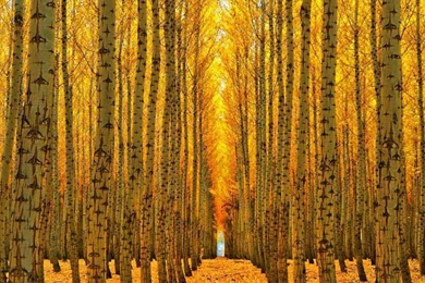 Beautiful Cool Desktop HD Wallpapers Download   Wallpapers Download