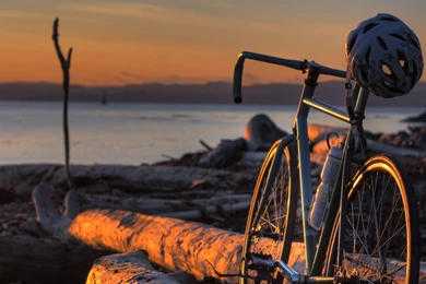 Download Sea Bicycles Wallpapers 1600x900