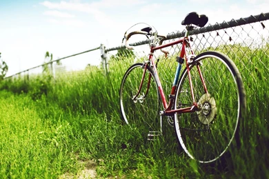 The Nostalgic Memory Bicycles Aesthetic Photography Wallpapers 12 ...