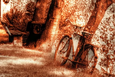 The Nostalgic Memory Bicycles Aesthetic Photography Wallpapers 8 ...