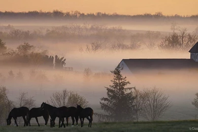 Country Desktop Wallpapers   Wallpapers Cave