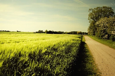 Country Road Computer Wallpapers, Desktop Backgrounds