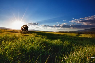 Back In Grizzly Country