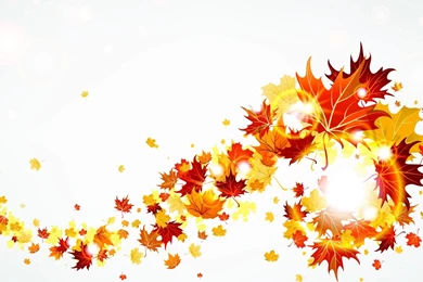 Fall Leaves Autumn Leaf Clip Art Wallpapers Image