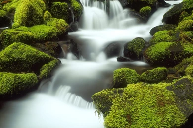 Nature Wallpapers For Desktop Backgrounds Full Screen – Valentine ...