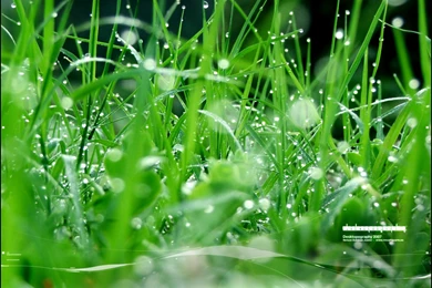 Computer Desktop Wallpapers Fullscreen   5 Items