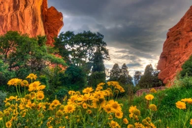 Spring Flowers In The Garden Of The Gods In Colorado Desktop ...