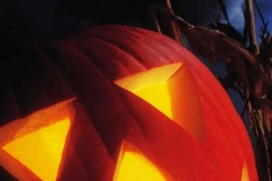 New IPhone5 Halloween Wallpapers To Get Scary Look