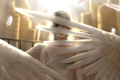 White Angel Wallpapers   Wallpapers Zone