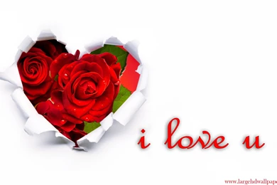 I Love U Rose Hearts Desktop Backgrounds 2016 Wallpapers   Large HD ...