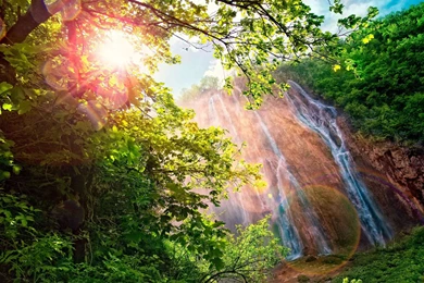 Waterfall Forest Wallpapers