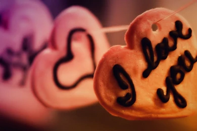 Love Wallpapers Free Download   Wallpapers Zone