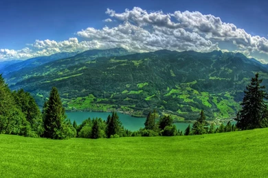 Amazing Landscapes Grass River Forest Colorful Nature Hd Wallpapers ...