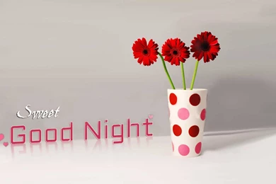 Good Night Sweet Dream Photo With Flower Port Wallpapers