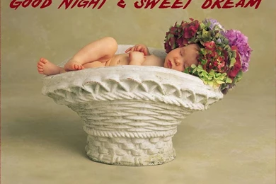 Good Night Sweet Dreams HD Wallpapers Free Download