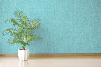Debona Classic Trends Wallpapers   Teal