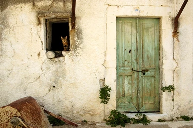 Home Archives   Page 48 Of 49   HD Wallpapers Source