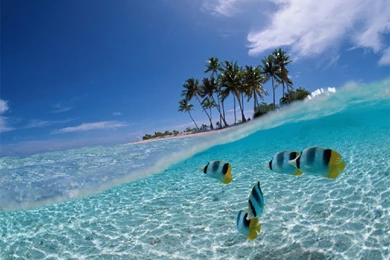 Bali Beach Wallpapers   Wallpapers Z