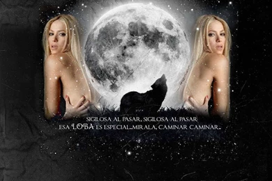 Shakira SheWolf Wallpapers   Shakira Wallpapers