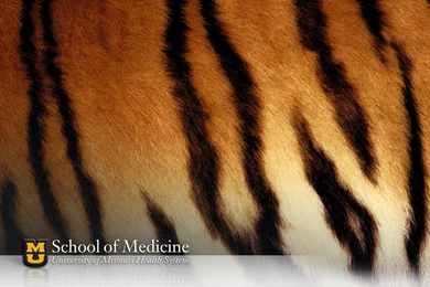 University Of Missouri   School Of Medicine   Multimedia   Image ...