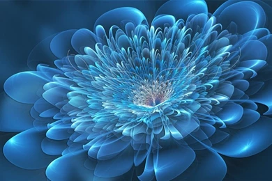 3d wallpapers digital art flowers wallpaper 37354