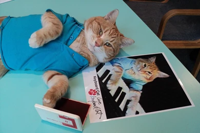 Animal Video] Charlie Schmidt's Keyboard Cat!