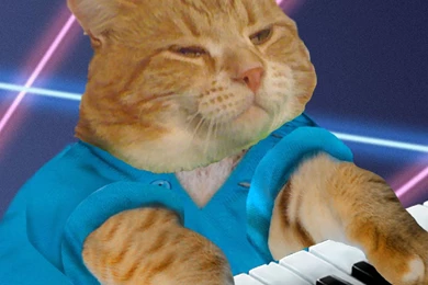 Awesome New App Today!!! Keyboard Cat Learn To... Blog ...
