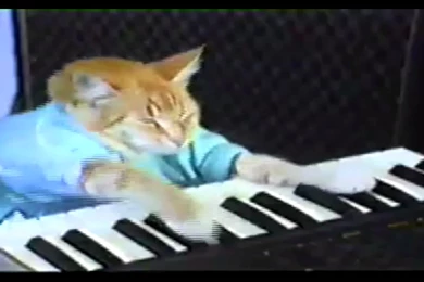 Keyboard Cat   YouTube