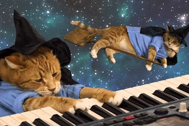 Keyboard Cat Happy Halloween YouTube