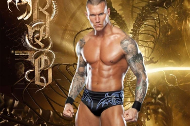 Browsing Wallpapers On DeviantArt