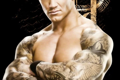 Browsing Wallpapers On DeviantArt