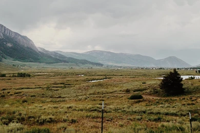 Mossy Oak Wallpapers