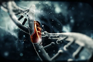 COOL Spiderman Dna WALLPAPER 7054