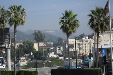 Hollywood Sign Quotes. QuotesGram