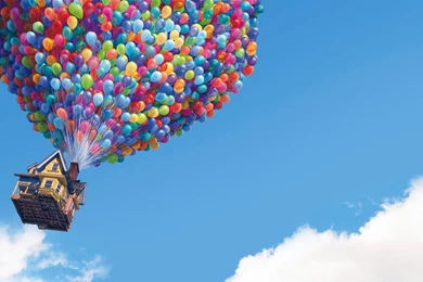 Blue Flock Wallpapers   HD Wallpapers Pretty